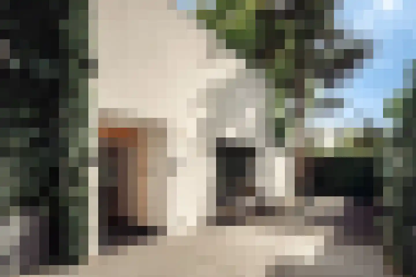 Minervalaan 109 Amsterdam thumbnail 6