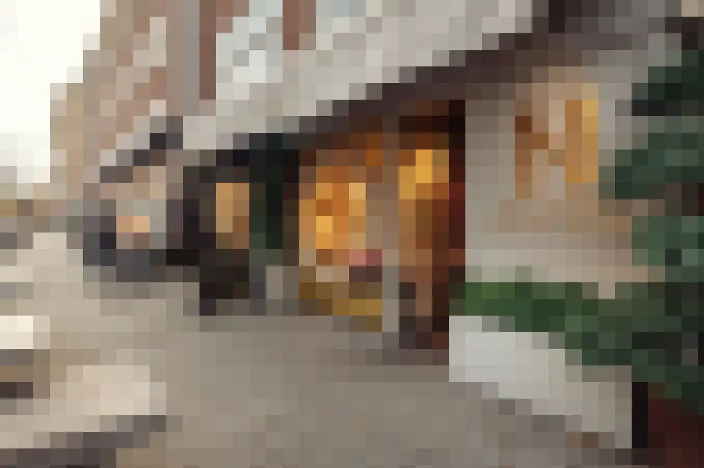 Minervalaan 109 Amsterdam thumbnail 61