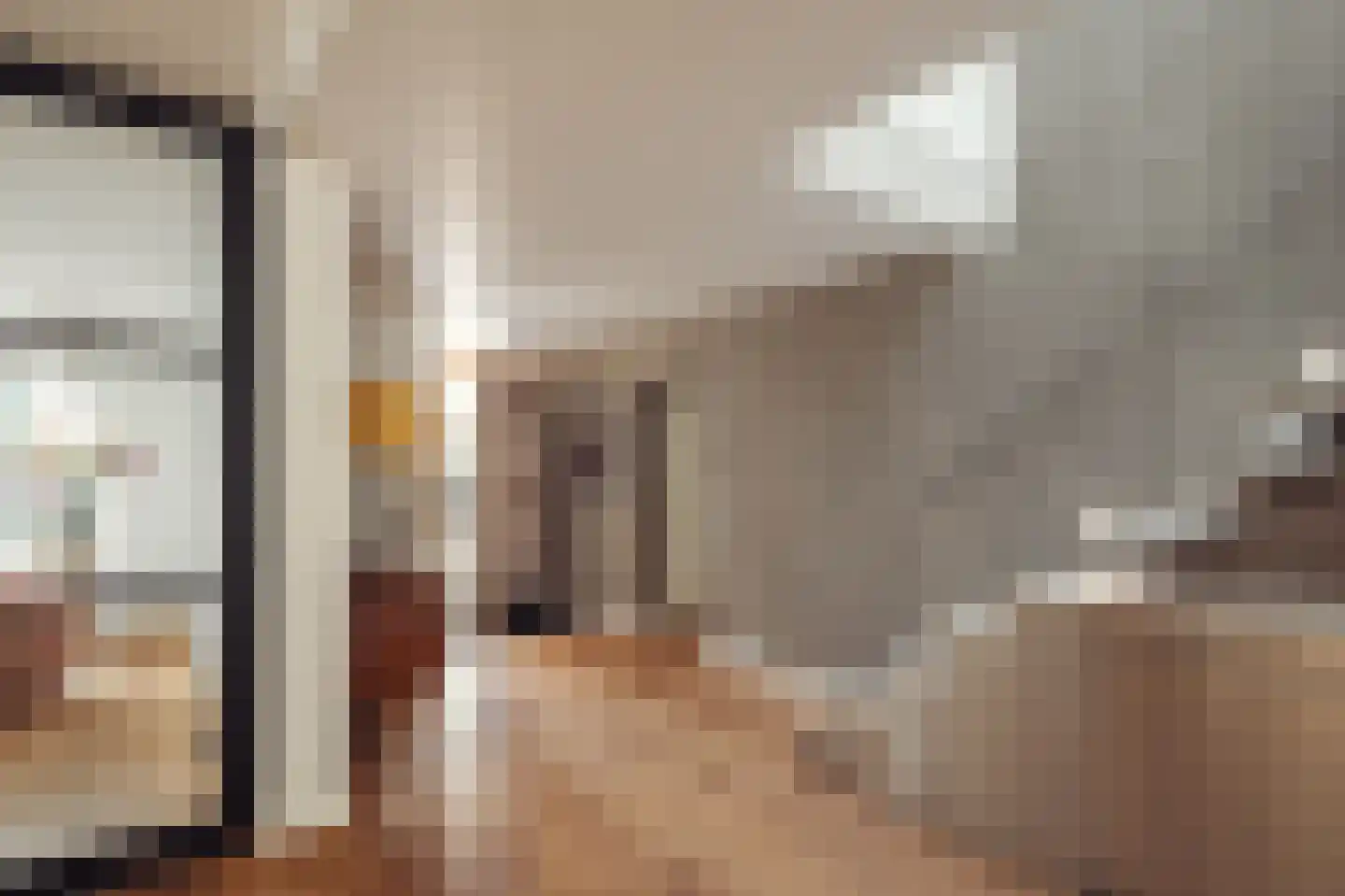 Minervalaan 109 Amsterdam thumbnail 8