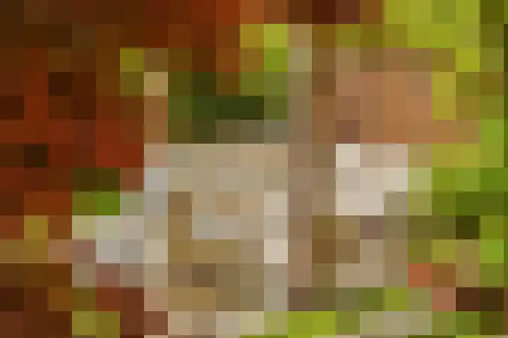 Minervalaan 14 2 Amsterdam thumbnail 17