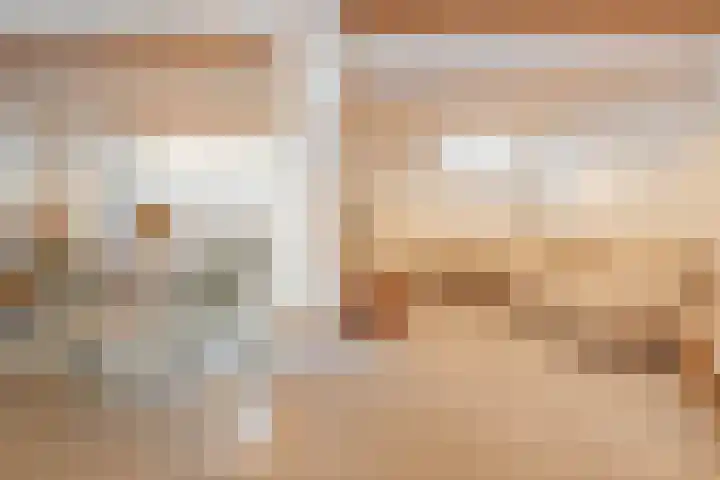 Minervalaan 14 2 Amsterdam thumbnail 23