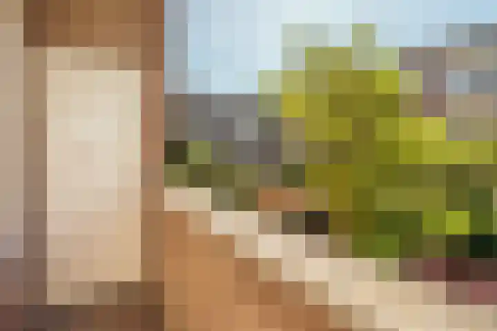 Minervalaan 14 2 Amsterdam thumbnail 33
