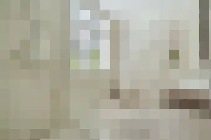 Minervalaan 14 2 Amsterdam thumbnail 35