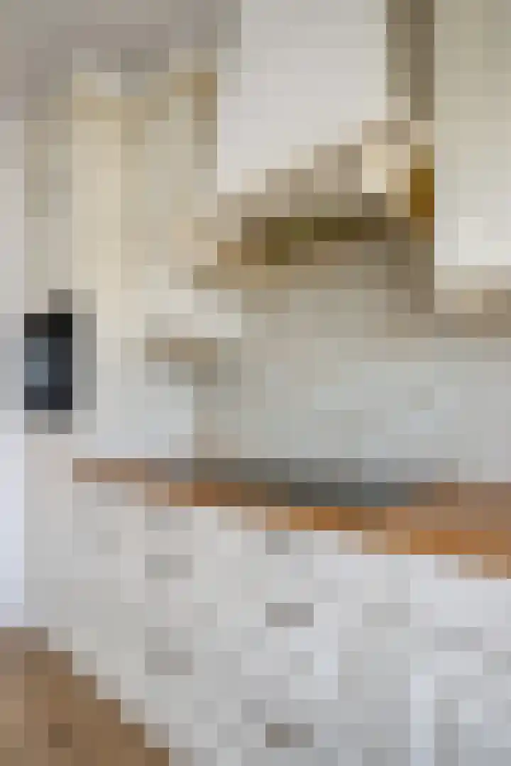 Minervalaan 14 2 Amsterdam thumbnail 38