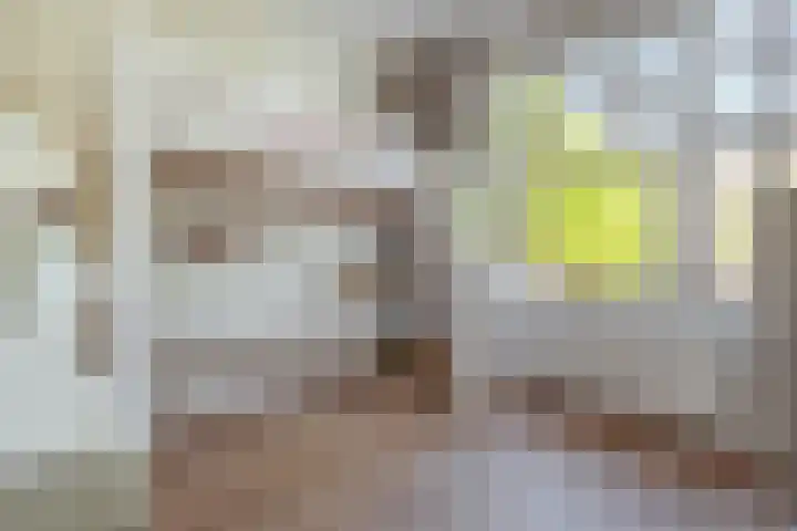 Minervalaan 14 2 Amsterdam thumbnail 38