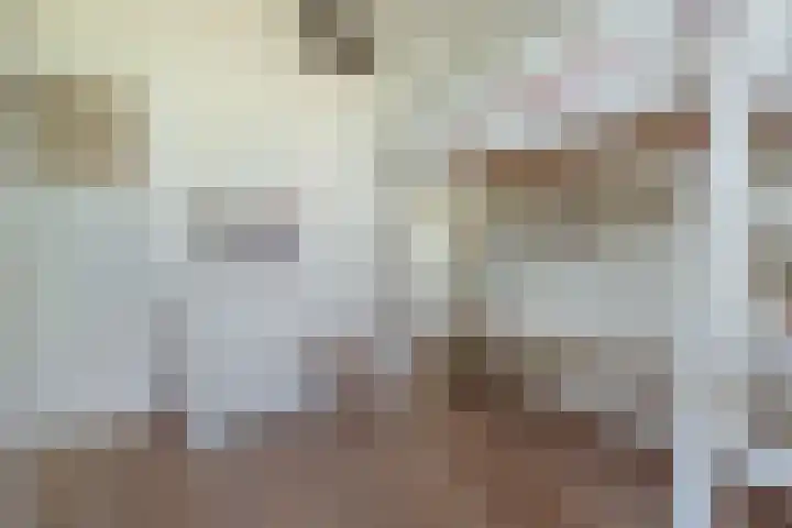 Minervalaan 14 2 Amsterdam thumbnail 39
