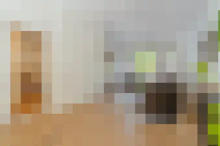 Minervalaan 14 2 Amsterdam thumbnail 4