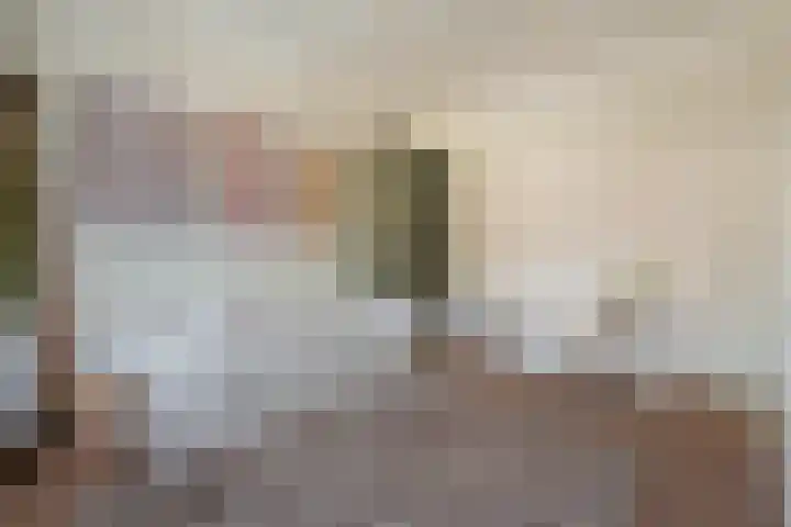 Minervalaan 14 2 Amsterdam thumbnail 41
