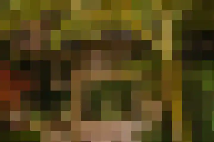 Minervalaan 14 2 Amsterdam thumbnail 45