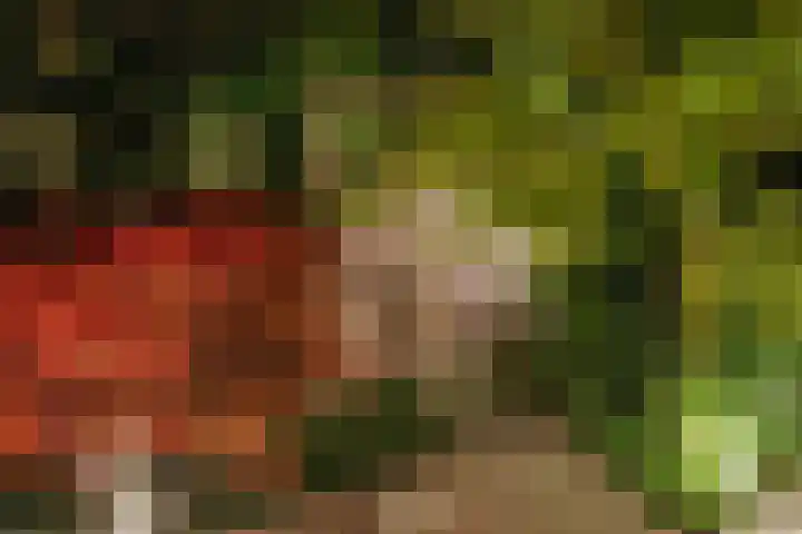 Minervalaan 14 2 Amsterdam thumbnail 47