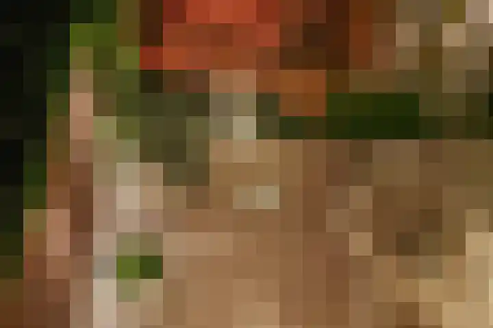 Minervalaan 14 2 Amsterdam thumbnail 48