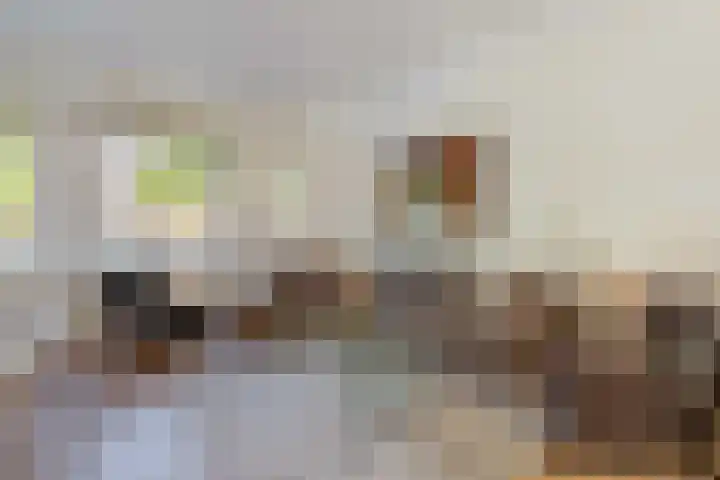 Minervalaan 14 2 Amsterdam thumbnail 5