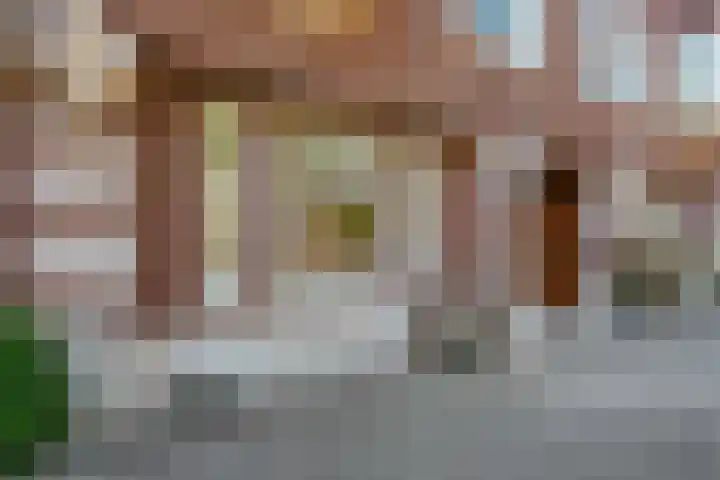 Minervalaan 14 2 Amsterdam thumbnail 50