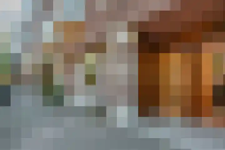 Minervalaan 14 2 Amsterdam thumbnail 51