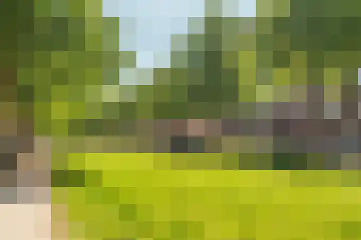 Minervalaan 14 2 Amsterdam thumbnail 52