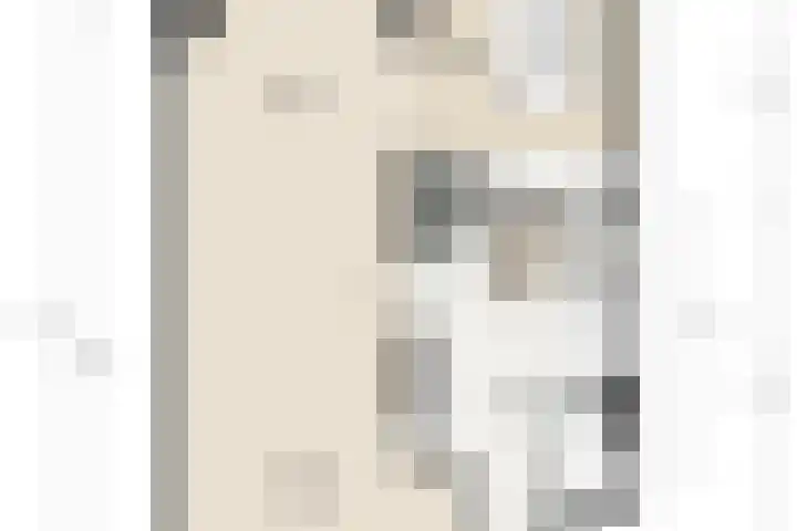 Minervalaan 14 2 Amsterdam thumbnail 54