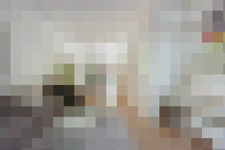 Minervalaan 14 2 Amsterdam thumbnail 7