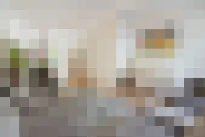 Minervalaan 14 2 Amsterdam thumbnail 8