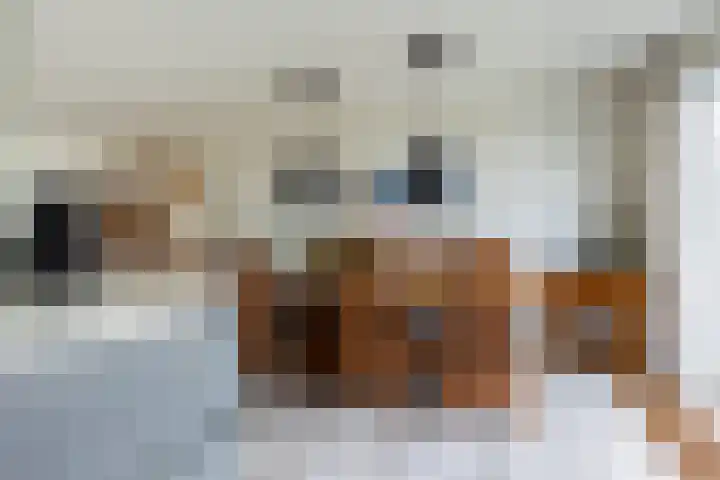 Minervalaan 27 Apeldoorn thumbnail 10