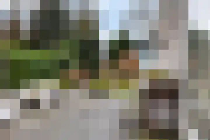 Minervalaan 27 Apeldoorn thumbnail 11