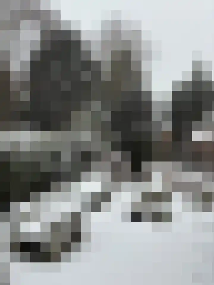 Minervalaan 27 Apeldoorn thumbnail 13