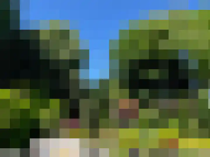 Minervalaan 27 Apeldoorn thumbnail 14