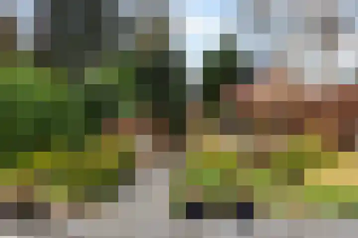 Minervalaan 27 Apeldoorn thumbnail 15