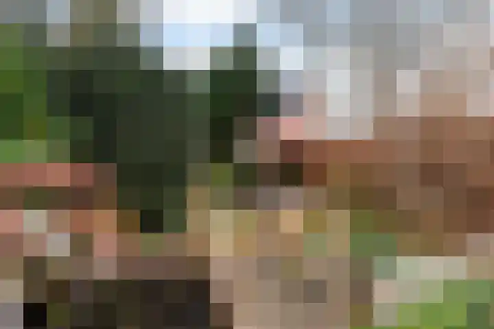 Minervalaan 27 Apeldoorn thumbnail 16