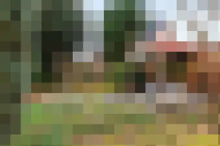 Minervalaan 27 Apeldoorn thumbnail 17
