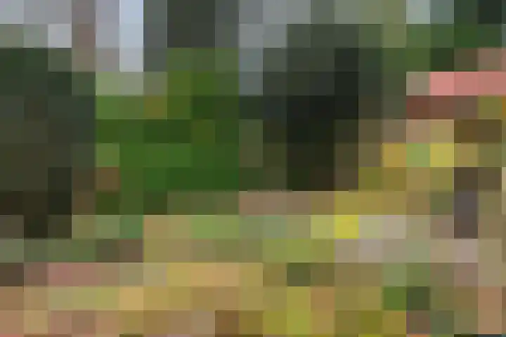Minervalaan 27 Apeldoorn thumbnail 18