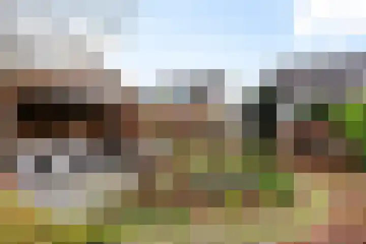 Minervalaan 27 Apeldoorn thumbnail 19
