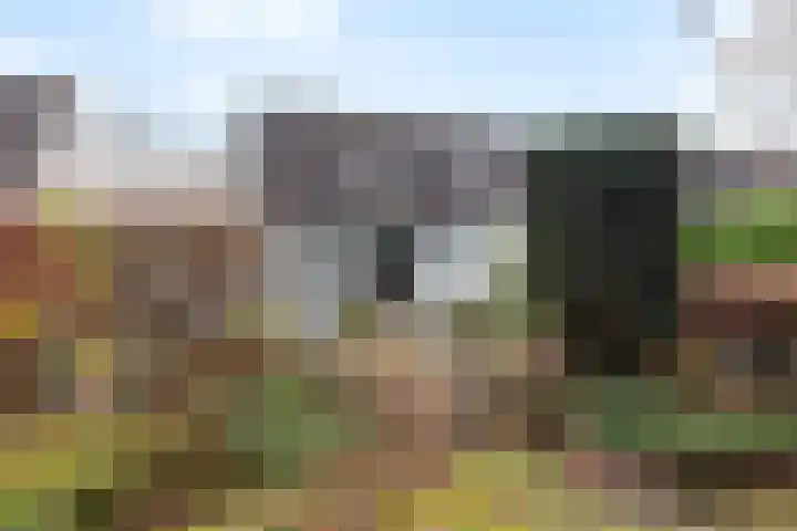 Minervalaan 27 Apeldoorn thumbnail 20