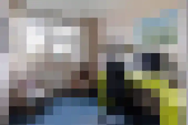 Minervalaan 27 Apeldoorn thumbnail 27