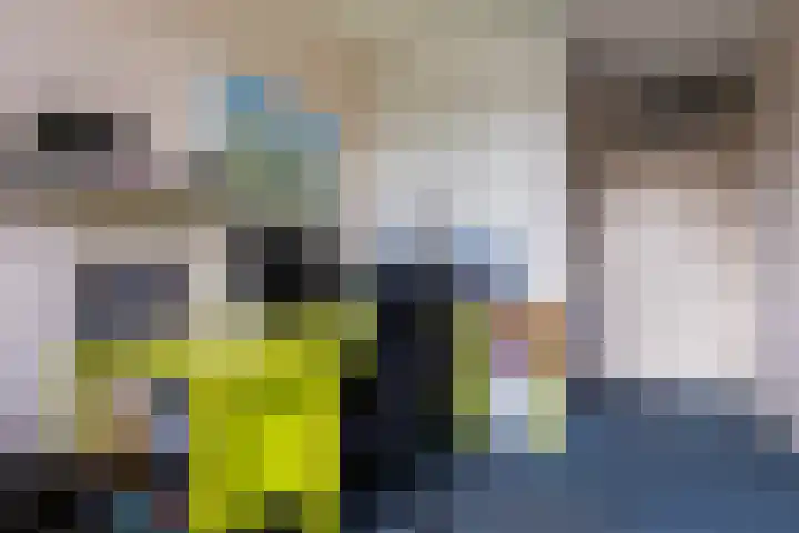 Minervalaan 27 Apeldoorn thumbnail 28