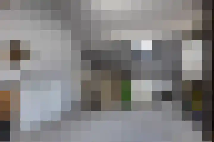 Minervalaan 27 Apeldoorn thumbnail 38