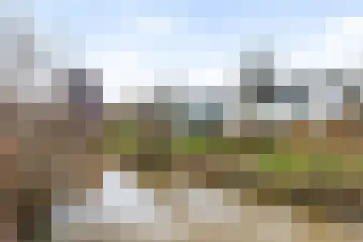 Minervalaan 27 Apeldoorn thumbnail 42