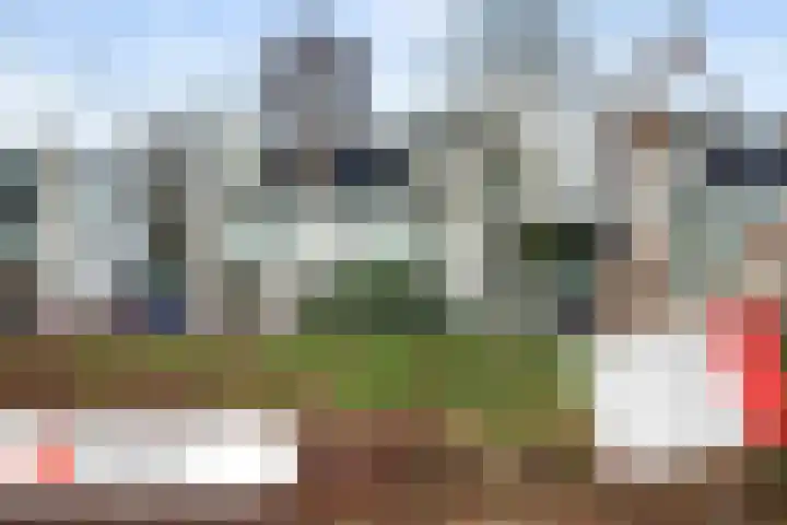 Minervalaan 27 Apeldoorn thumbnail 45