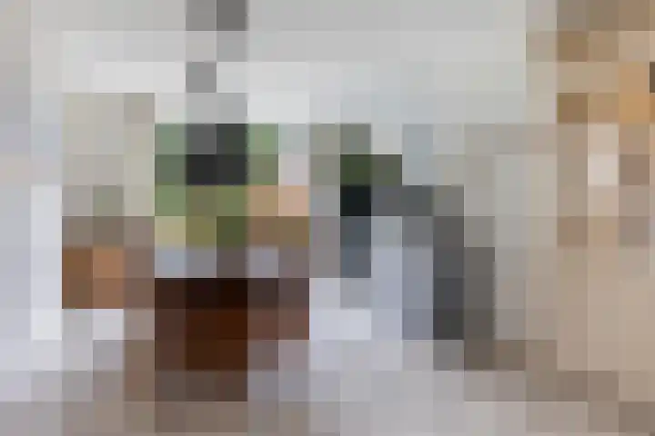Minervalaan 27 Apeldoorn thumbnail 5