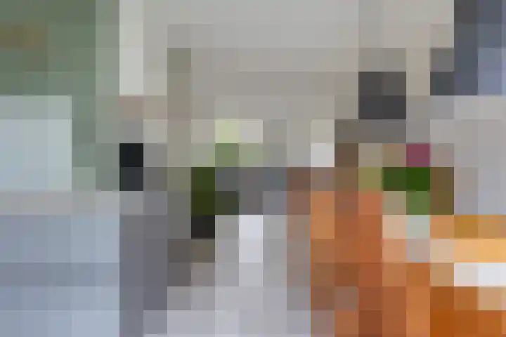 Minervalaan 27 Apeldoorn thumbnail 6