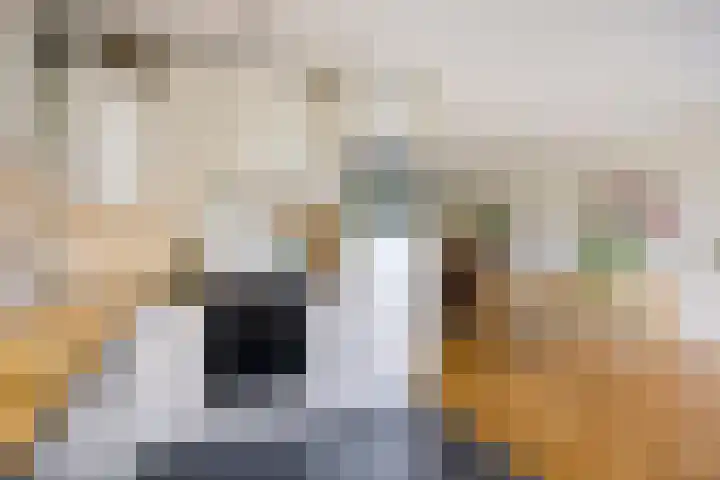 Minervalaan 43 Apeldoorn thumbnail 11