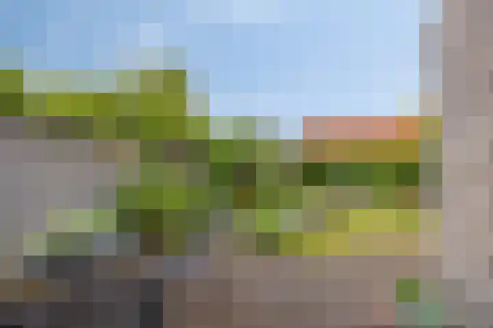 Minervalaan 43 Apeldoorn thumbnail 14