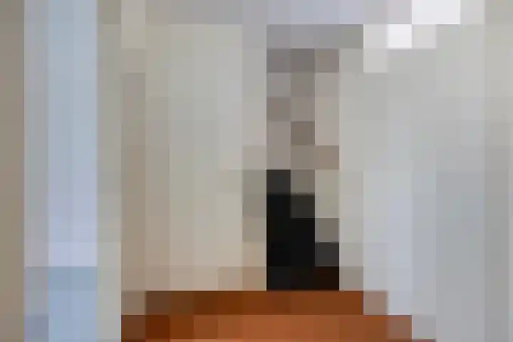 Minervalaan 43 Apeldoorn thumbnail 23