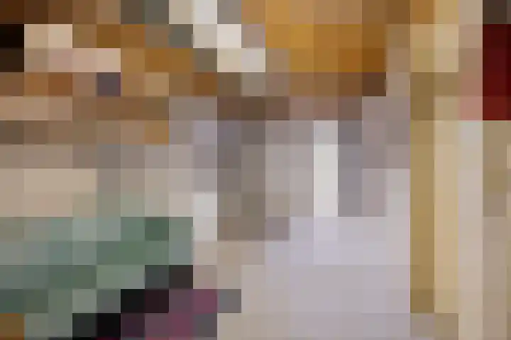 Minervalaan 43 Apeldoorn thumbnail 28