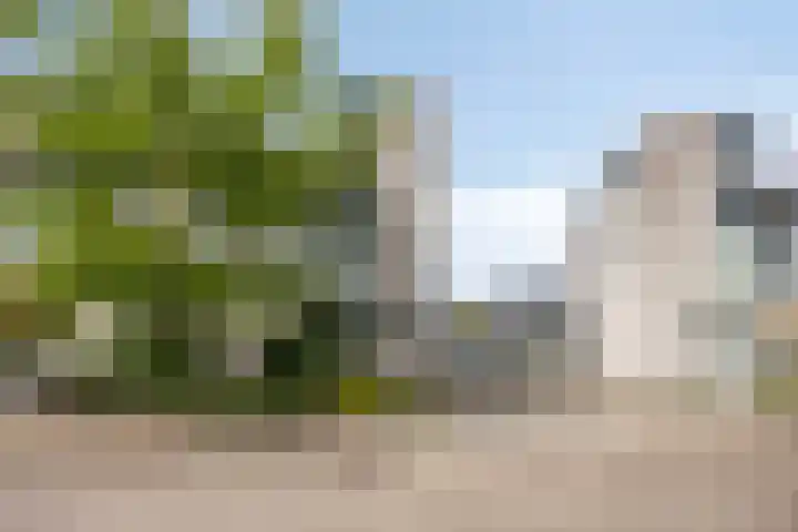 Minervalaan 43 Apeldoorn thumbnail 4
