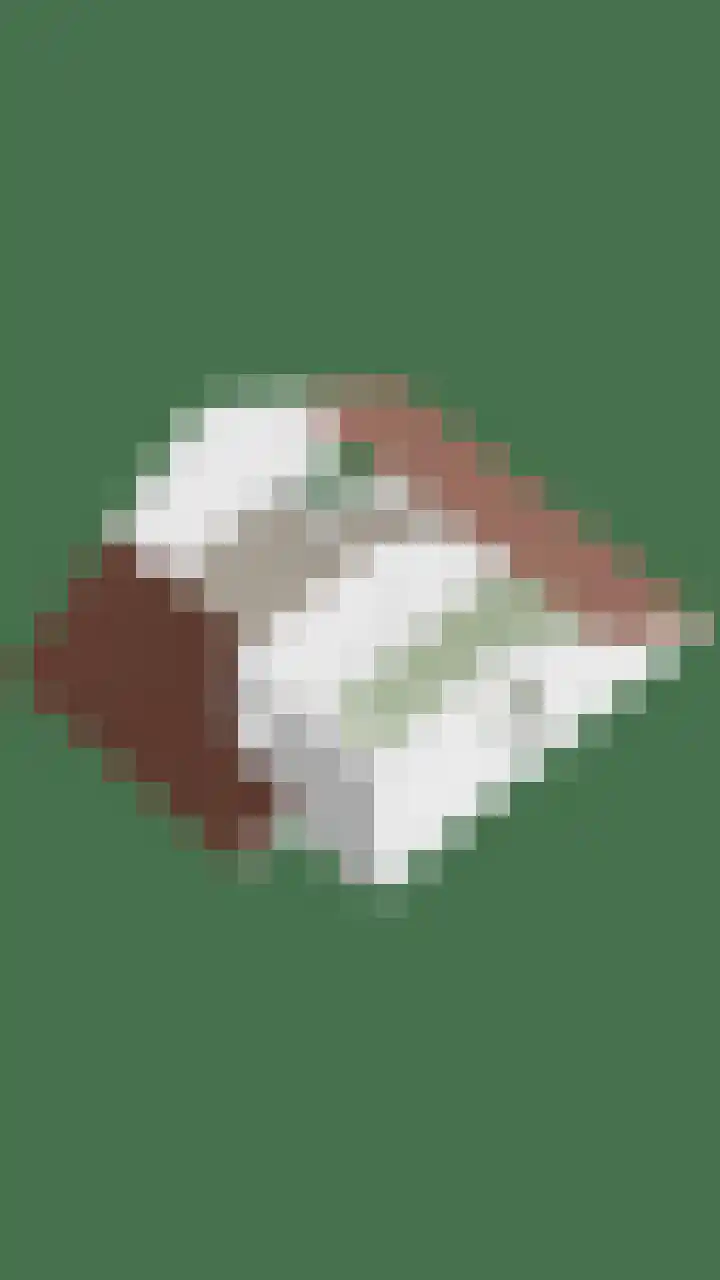 Minervalaan 43 Apeldoorn thumbnail 42
