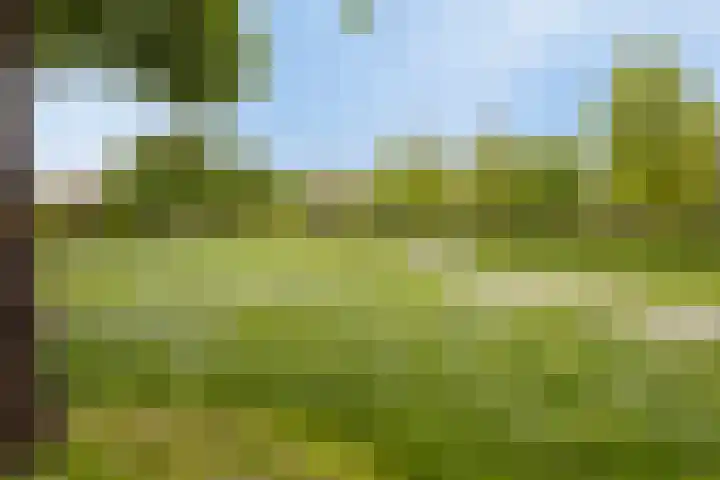 Minervalaan 58 3 Amsterdam thumbnail 13