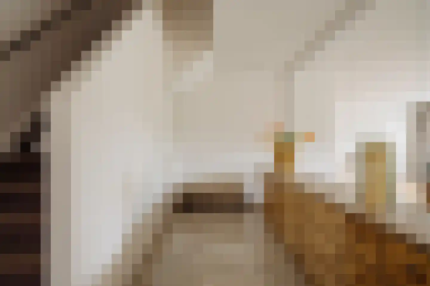 Minervalaan 58 3 Amsterdam thumbnail 29