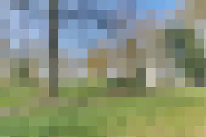 Minervalaan 58 3 Amsterdam thumbnail 6