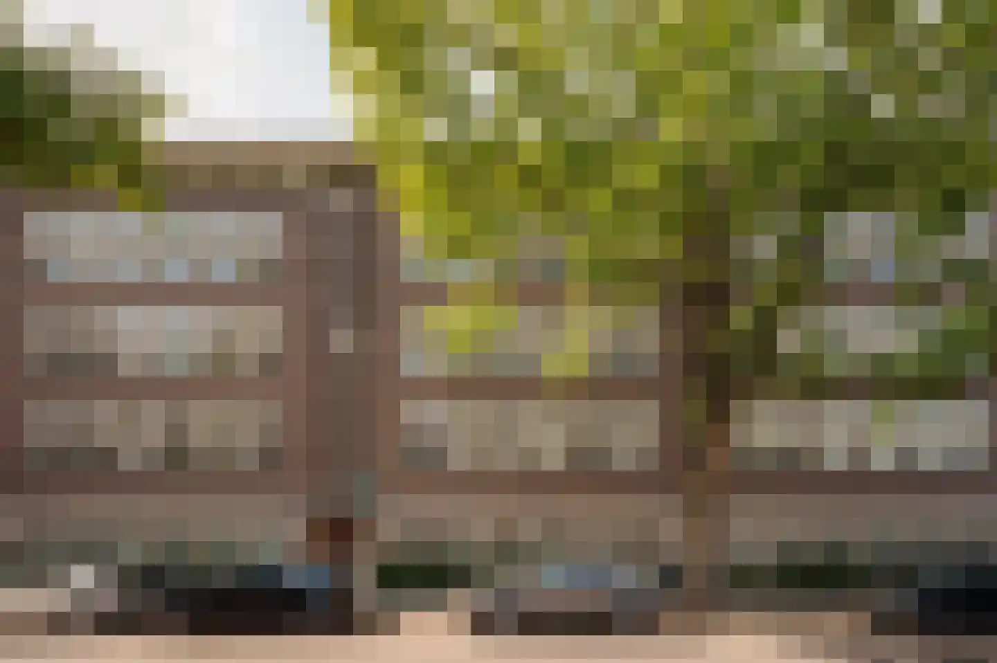 Minervalaan 58 3 Amsterdam thumbnail 6