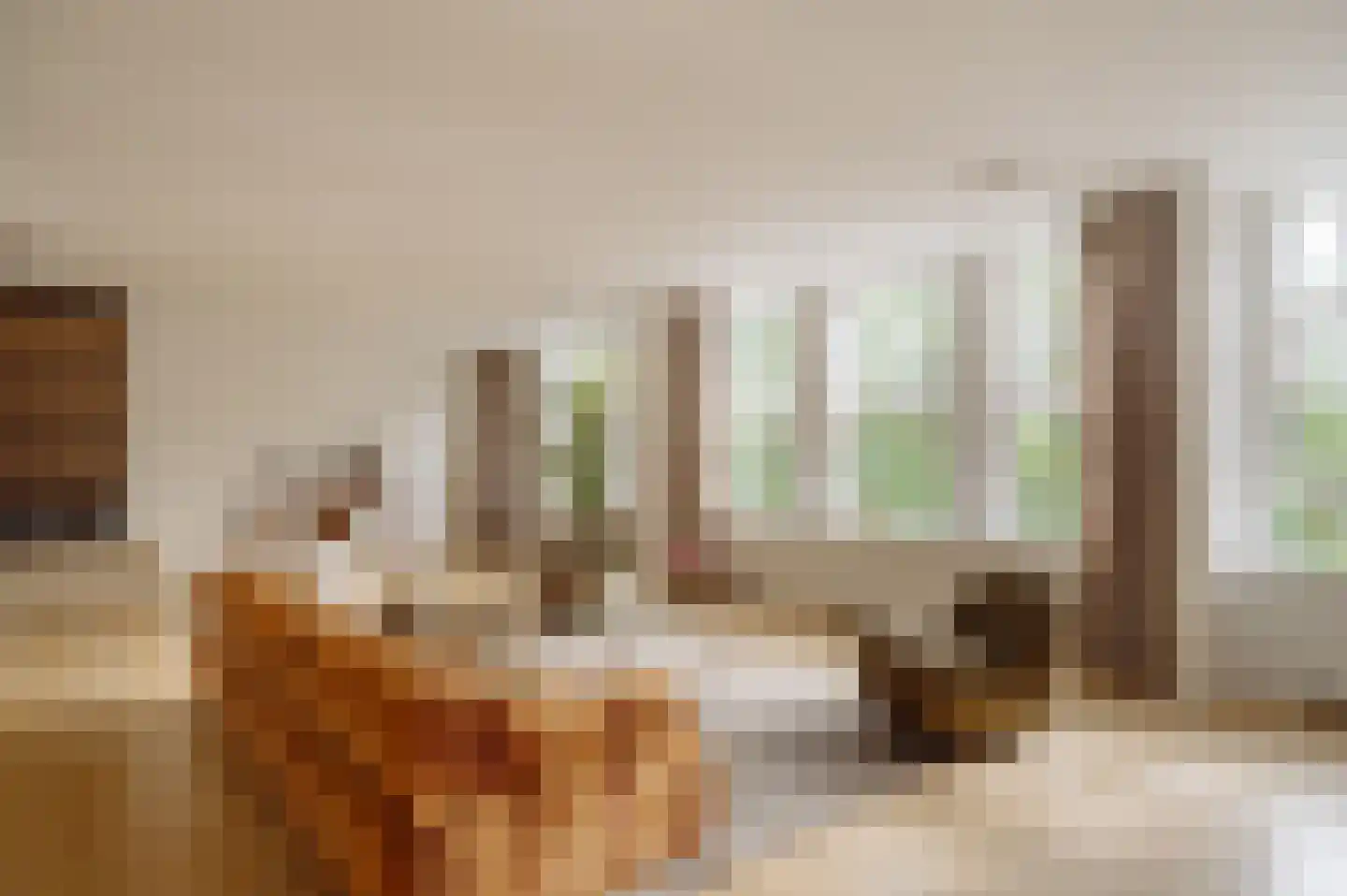 Minervalaan 58 3 Amsterdam thumbnail 9